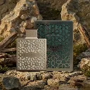 Terra 2.webp